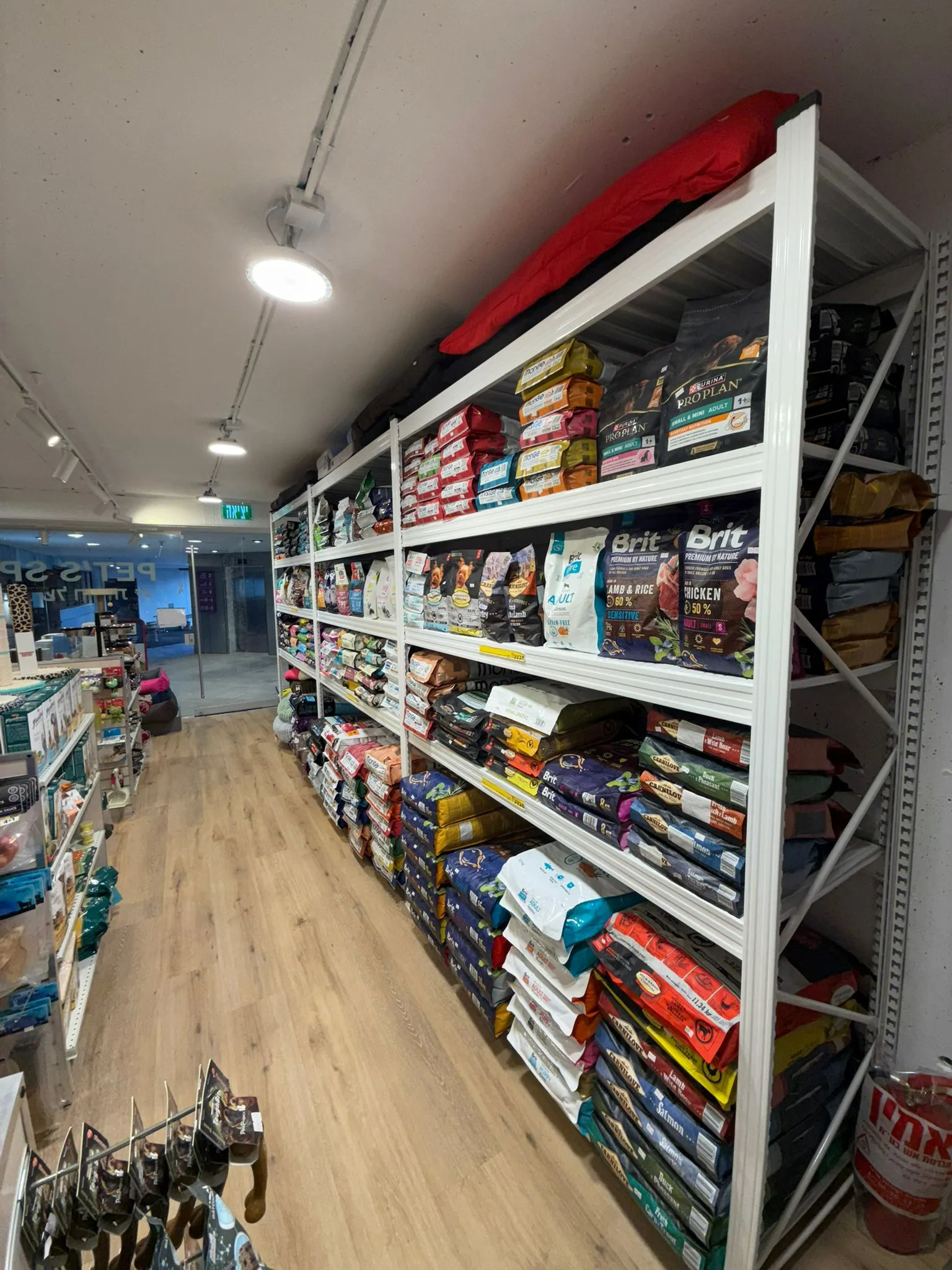 תמונה של WhatsApp‏ 2025-10-15 בשעה 11.24.27_35e28db6