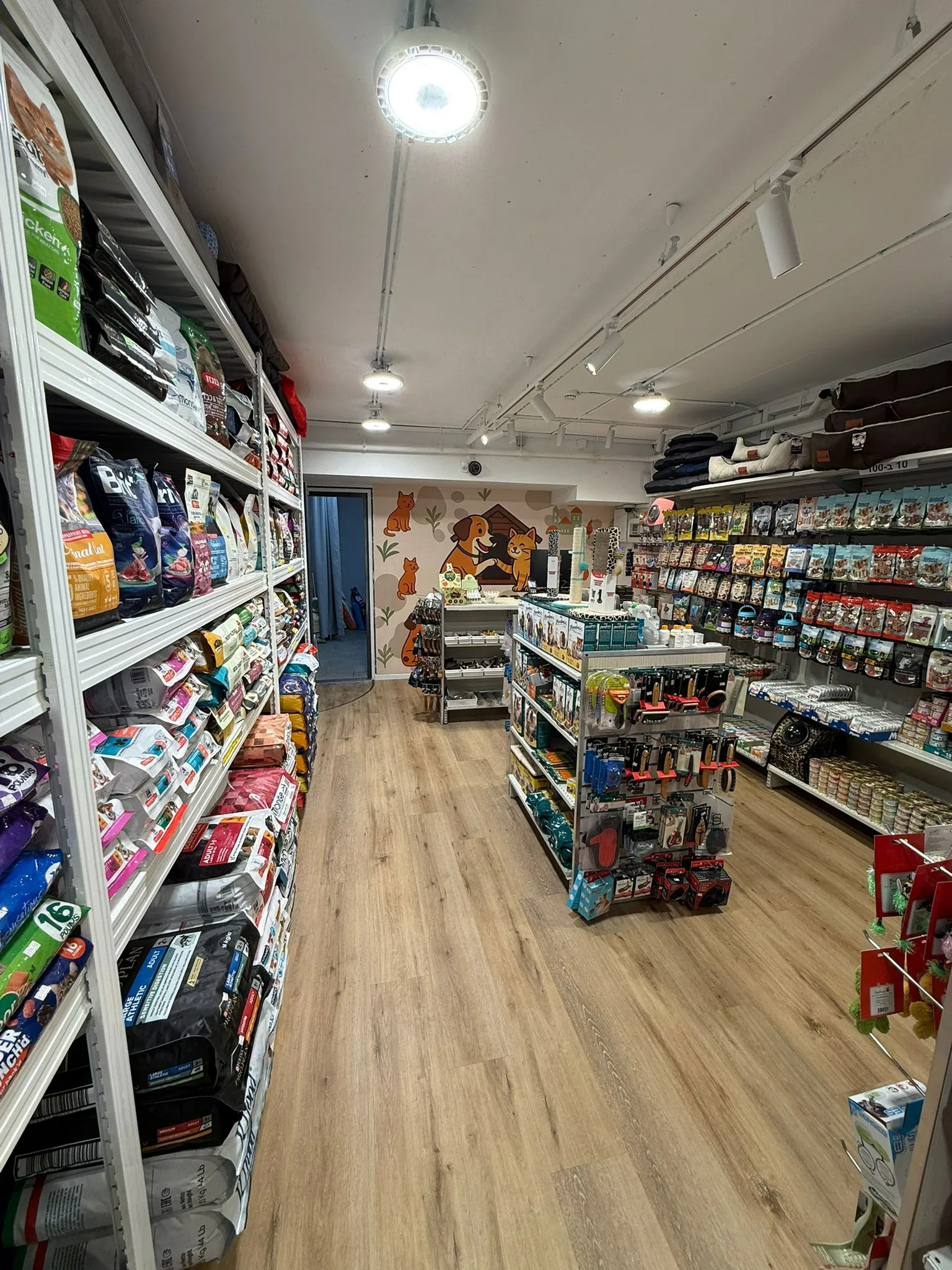 תמונה של WhatsApp‏ 2025-10-15 בשעה 11.24.28_30917888