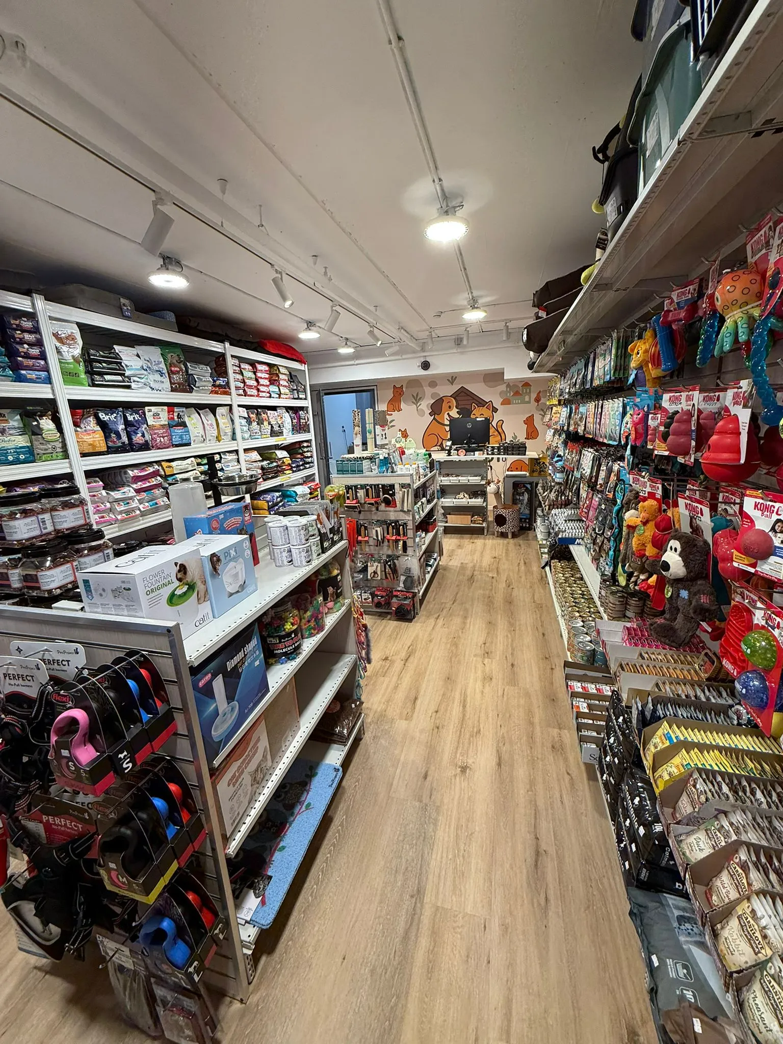 תמונה של WhatsApp‏ 2025-10-15 בשעה 11.24.28_6168a4bc