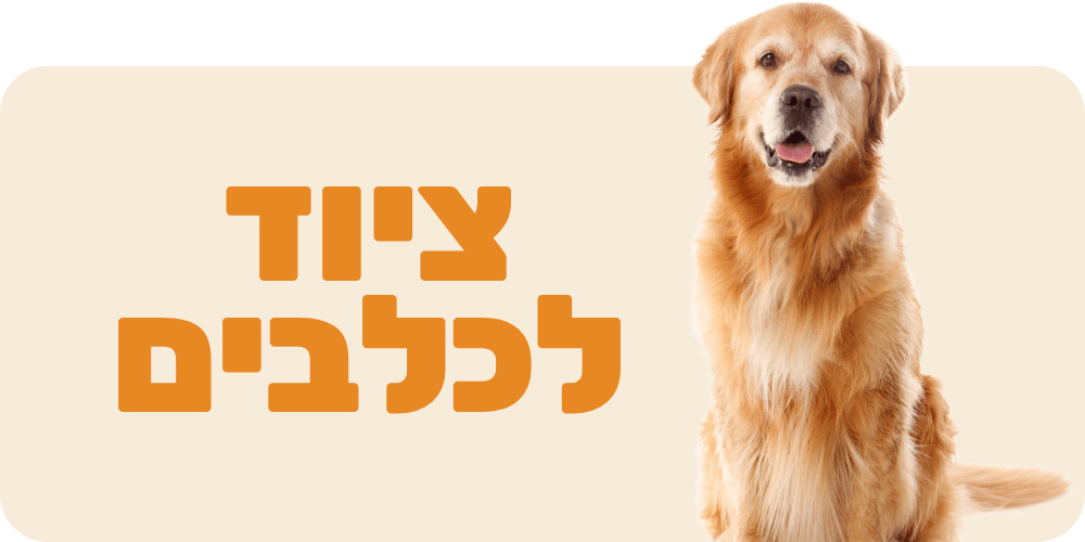 ציוד לכלבים
