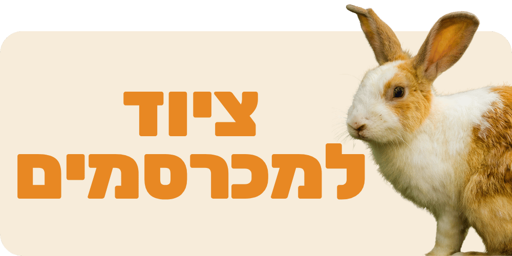 ציוד למכרסמים