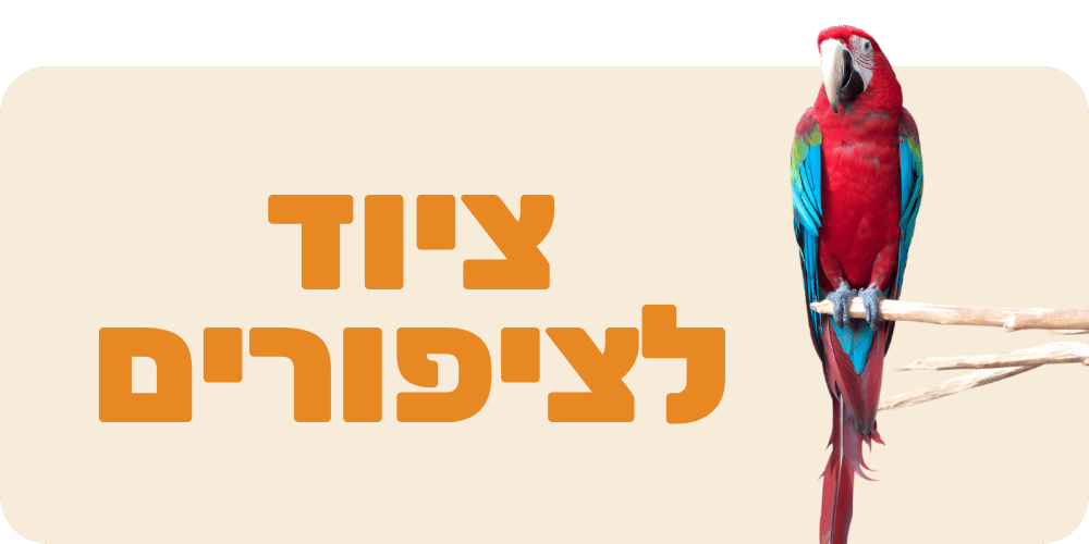 ציוד לציפורים
