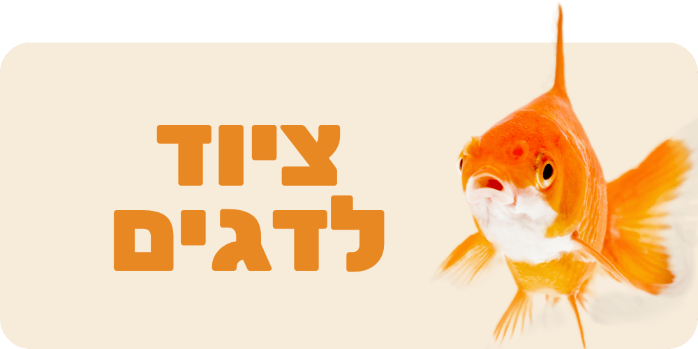 ציוד לדגים